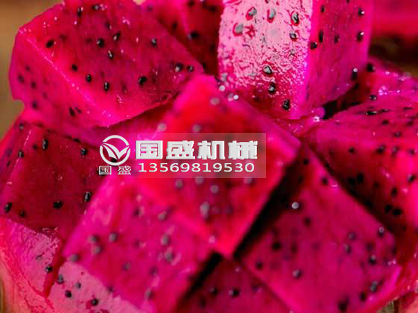 國盛火龍果擠壓脫水設(shè)備 國盛火龍果擠壓脫水設(shè)備